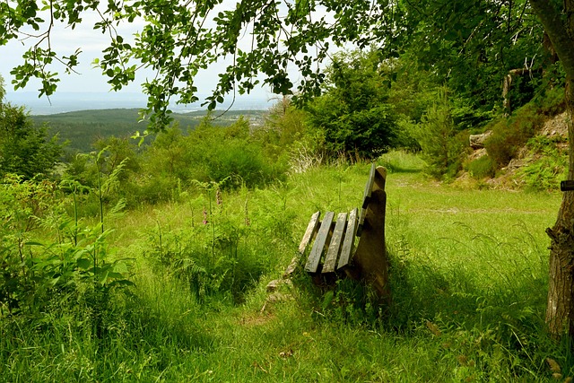 无论多么艰 无论多么艰