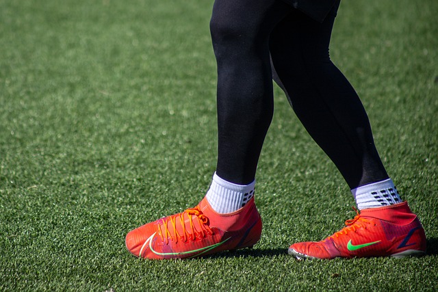 科学的训练 科学的训练