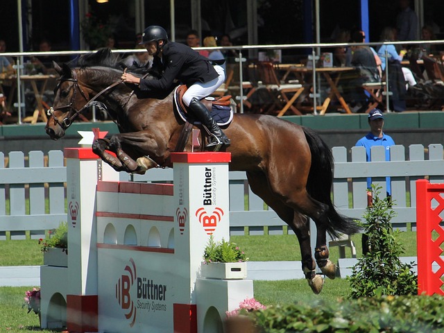 哈登的技术 哈登的技术