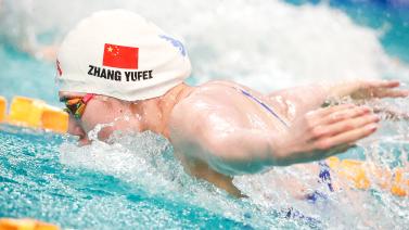 中率最高的 中率最高的